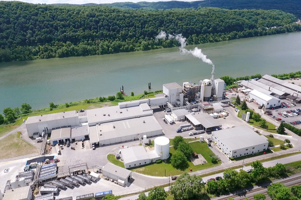 Overhead view of plant near water